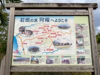徳之島 300年ガジュマル