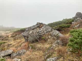 早池峰山 登山道