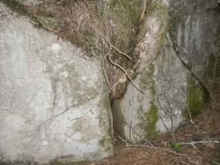 守屋山腹の巨石