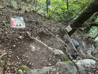 四国八十八ヶ所霊場 第84番札所 屋島寺〜第85番札所 八栗寺