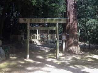 阿射加神社 拝殿への参道 (阿佐加乃藤方樋宮比定地)