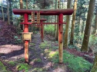 伊予三芳〜四国八十八ヶ所霊場 第60番札所 横峰寺