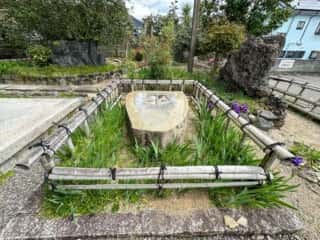 四国八十八ヶ所霊場 第49番札所 浄土寺
