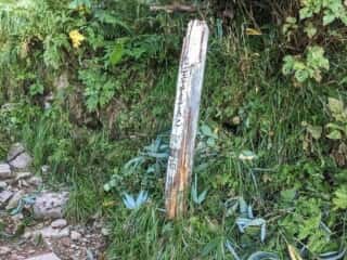 観光新道登山道