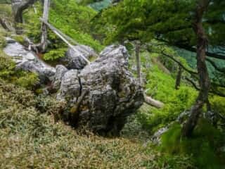 一ノ森登山道の巨石