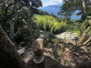 竹ケ島頂上整備工事