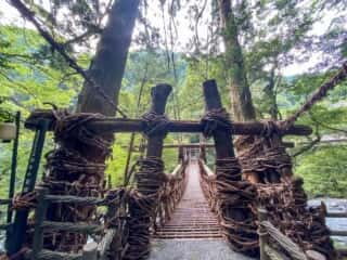 祖谷のかずら橋