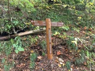 白神岳登山道