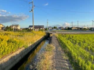 四国八十八ヶ所霊場 第16番札所 観音寺〜第17番札所 井戸寺