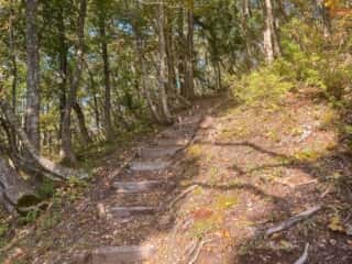 七高山登山道