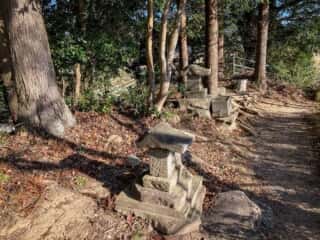 釣石神社　裏山道