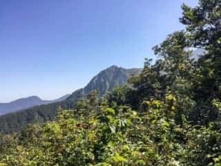 大山登山道