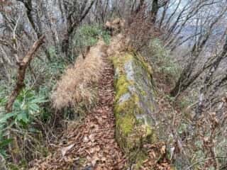 石上山 巨石群