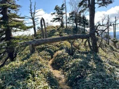 一ノ森・槍戸山