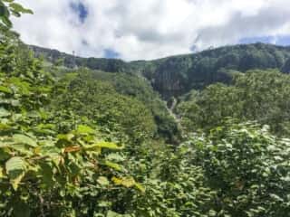 砂防新道 登山道