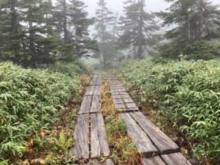 八幡平登山道
