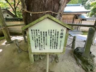 四国八十八ヶ所霊場 第82番札所 根香寺