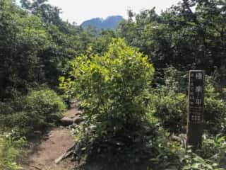 羅臼岳登山道