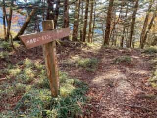 剣山登山道