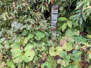 真山登山道