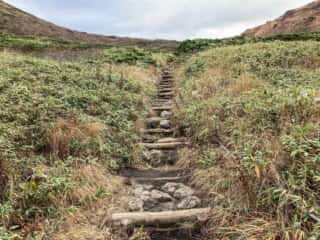 秋田駒ヶ岳登山道