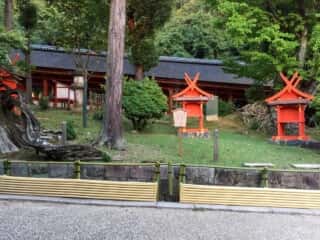 春日大社　青榊神社