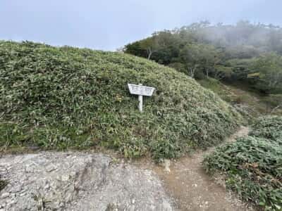 次郎笈