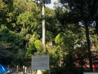 阿須賀神社　史跡蓬来山