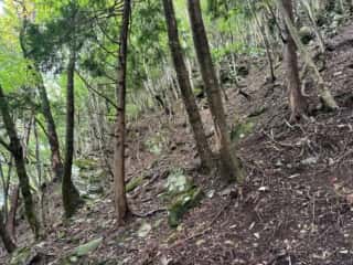 矢筈山・石堂山