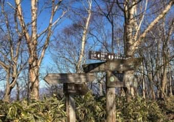 黒檜山の登山道