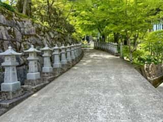 四国八十八ヶ所霊場 第66番札所 雲辺寺