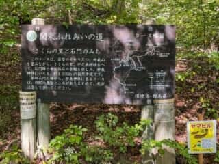 妙義山 登山道