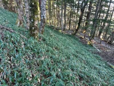 一ノ森・槍戸山