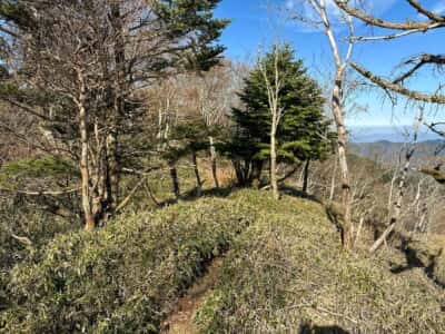 寒峰・烏帽子山
