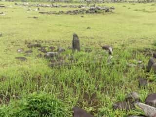 大森勝山遺跡 ストーンサークル