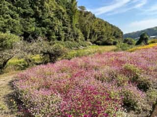 四国八十八ヶ所霊場 第21番札所 太龍寺〜第22番札所 平等寺