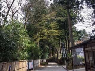 中尊寺の周辺