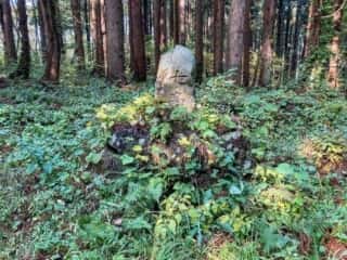 七高山神社 石碑