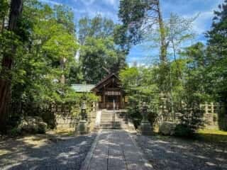 木嶋神社 (蚕の社)　参道