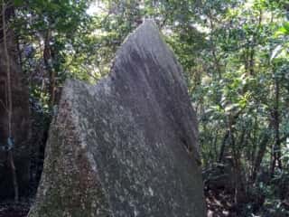 唐人石巨石群の巨石