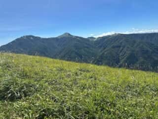 塔丸