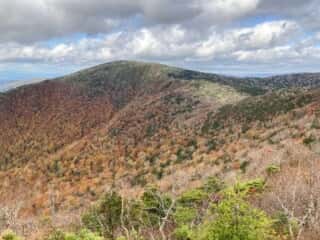 鶏頭山の景色