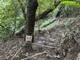 四国八十八ヶ所霊場 第84番札所 屋島寺〜第85番札所 八栗寺