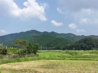 牛頭野岡を望む