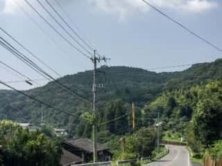 牛頭野岡を望む