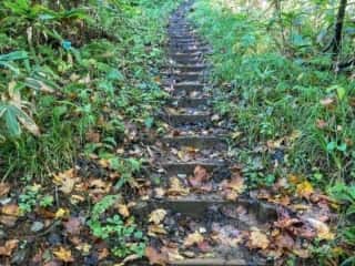 真山登山道