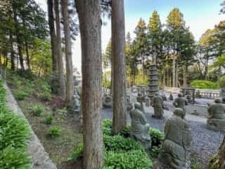 四国八十八ヶ所霊場 第66番札所 雲辺寺