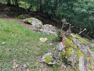 赤帽子山・中尾山