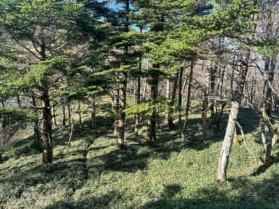 寒峰・烏帽子山