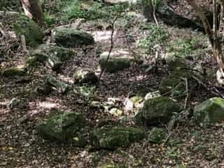 坂谷神社（鳥取県）の環状列石？